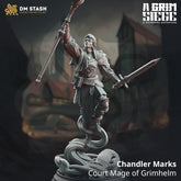 Chandler Marks - Court Mage of Grimhelm 3D-printed model